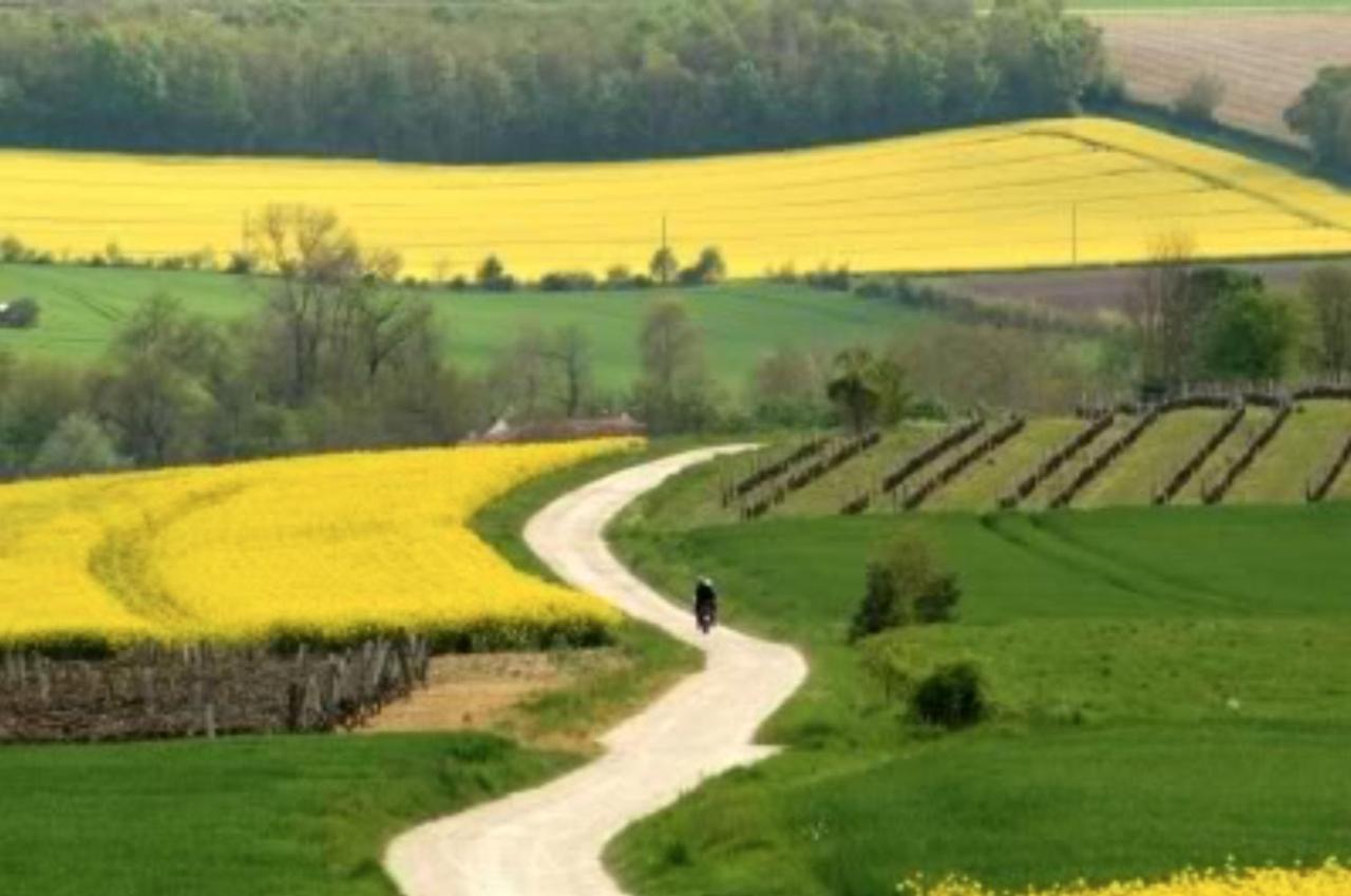 Вилла Les Rosiers Chaunay Экстерьер фото